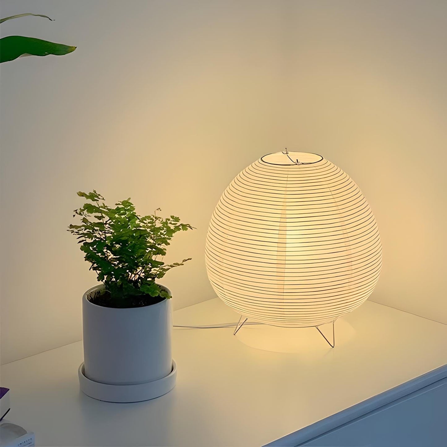 Veilleuse Adulte Nordique