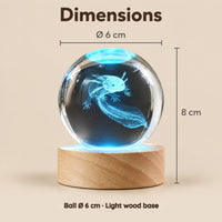Axolotl Crystal Ball Night Light – Dimensions