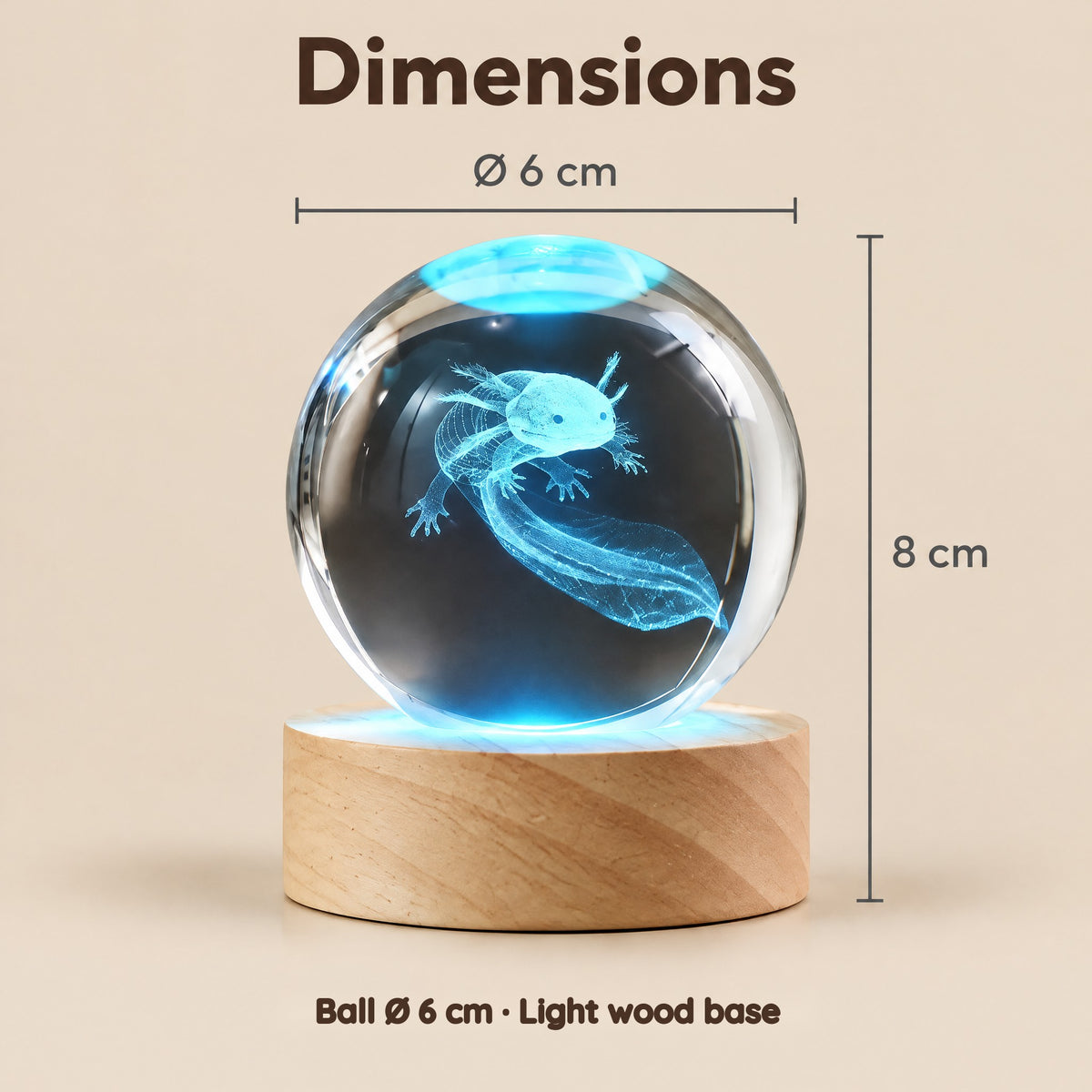 Axolotl Crystal Ball Night Light – Dimensions