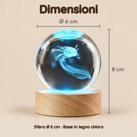 Luce Notturna Sfera di Cristallo Axolotl – Dimensioni