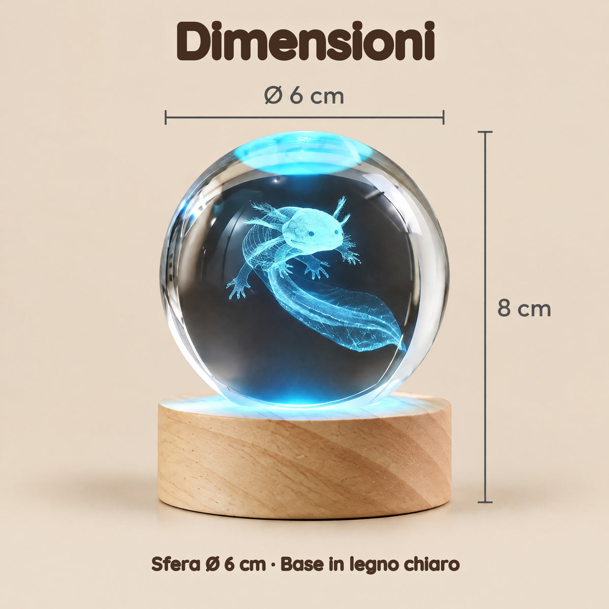 Luce Notturna Sfera di Cristallo Axolotl – Dimensioni