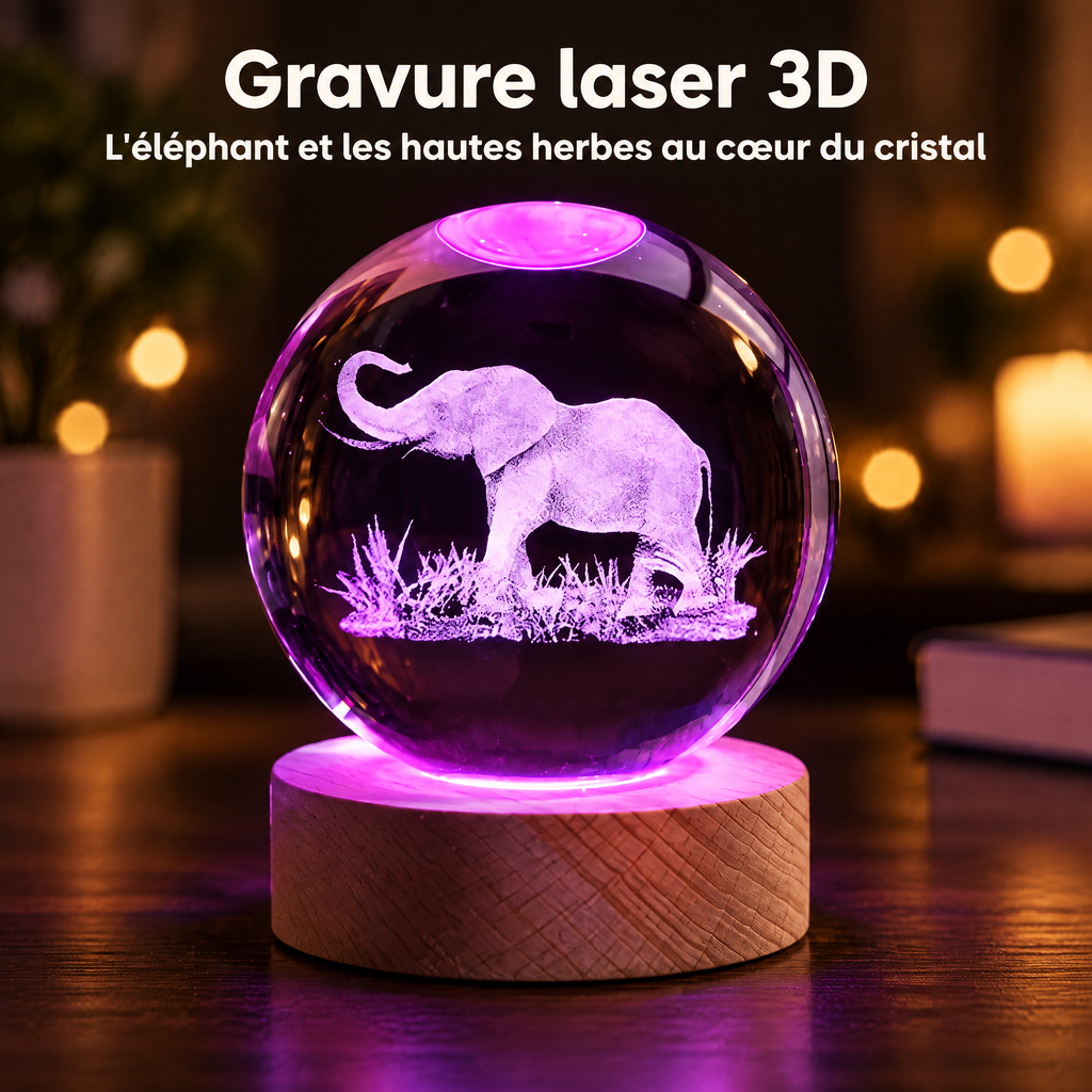 Luce Notturna Sfera di Cristallo Elefante Multicolore USB – Incisione laser 3D
