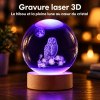 Lampka nocna kula kryształowa sowa i pełnia księżyca – Grawer laserowy 3D