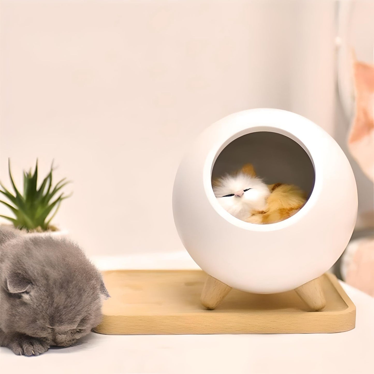 Veilleuse Chaton Réaliste Sphère Rechargeable