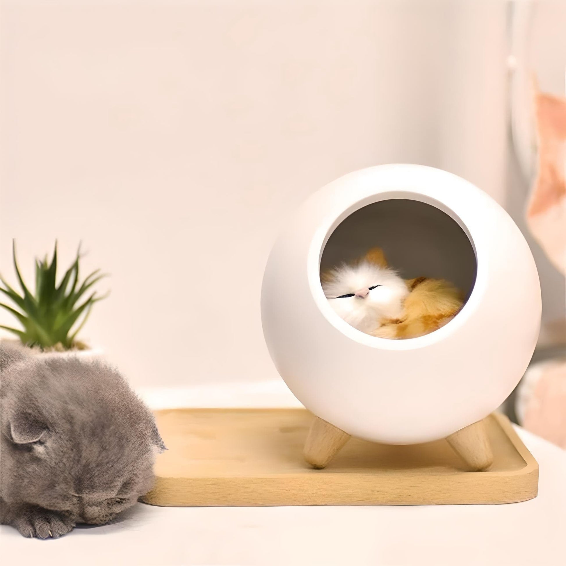 Veilleuse Chaton Réaliste Sphère Rechargeable